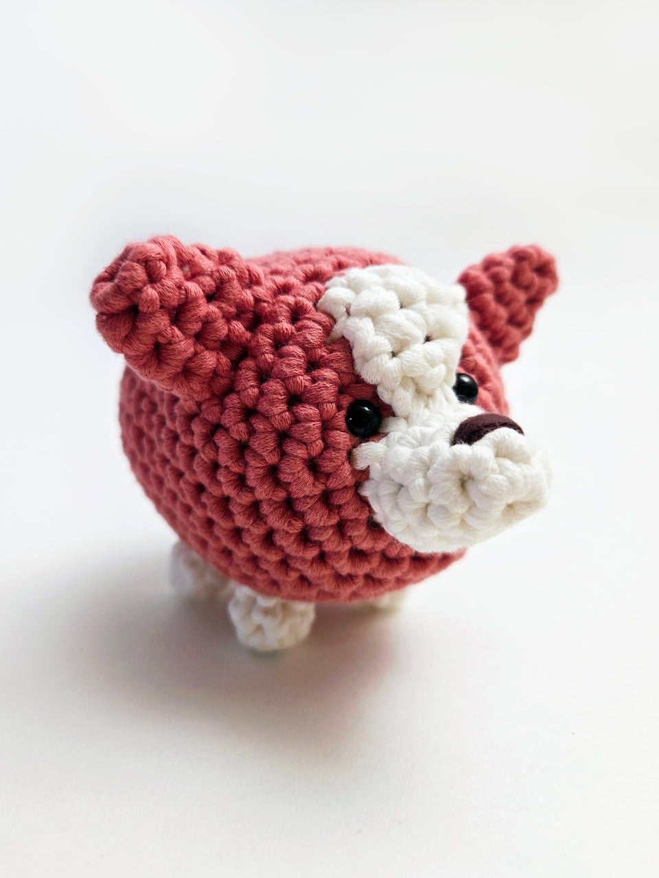 A crochet corgi with red body, white paws and snout.