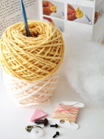 supplies for cat diy crochet kit