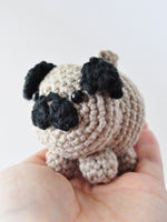 Mini pug DIY crochet kit